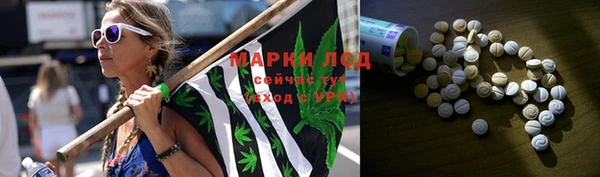 сатива Арсеньев