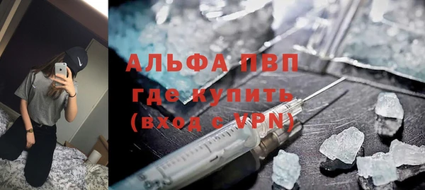 сатива Арсеньев