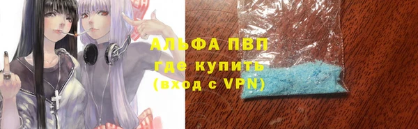 сатива Арсеньев