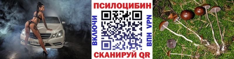 Псилоцибиновые грибы мухоморы  Гаврилов-Ям 